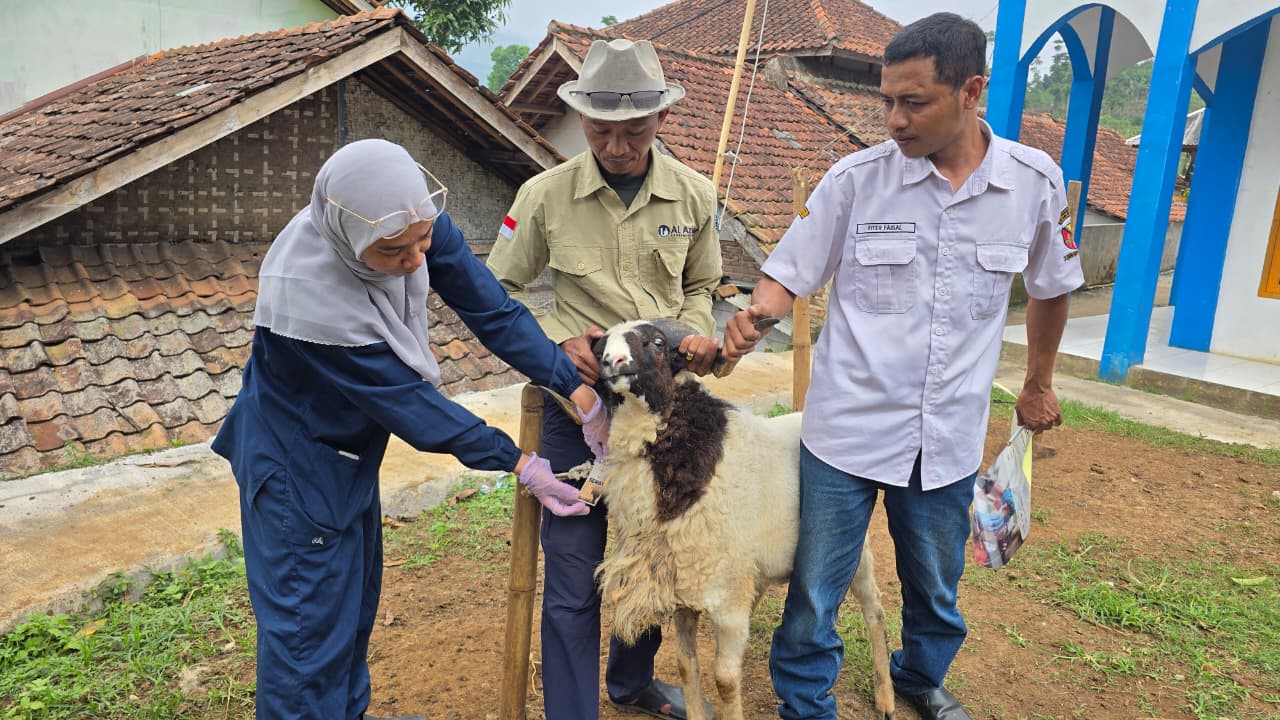 Pastikan Bebas Penyakit, Dokter Hewan Sisir Lapak Kurban di Kabupaten Bandung